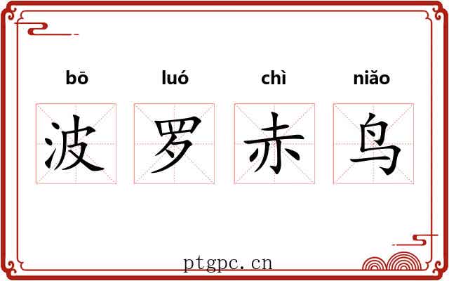 波罗赤鸟 波罗赤鸟