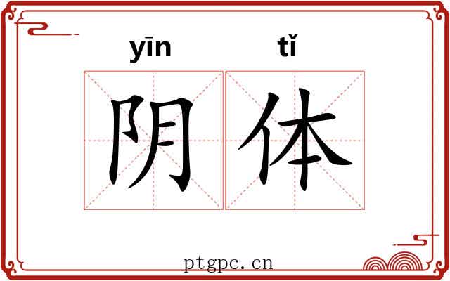 阴体