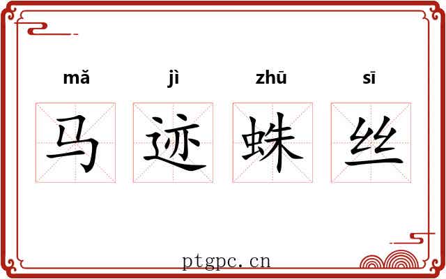 马迹蛛丝 马迹蛛丝