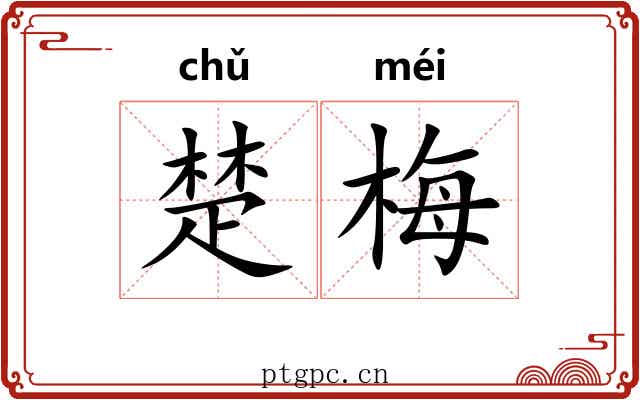 楚梅 楚梅