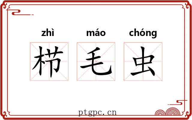 栉毛虫 栉毛虫