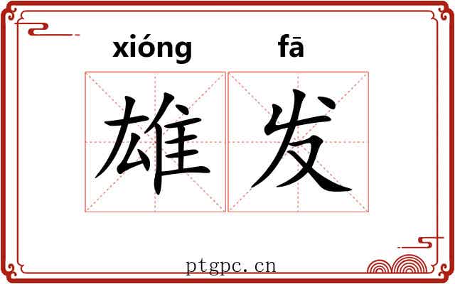 雄发 雄发