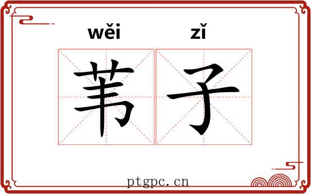 苇子 苇子
