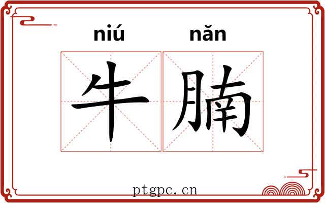 牛腩