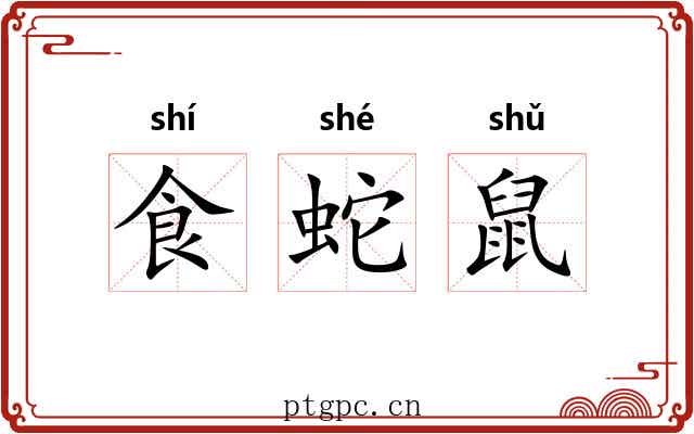 食蛇鼠