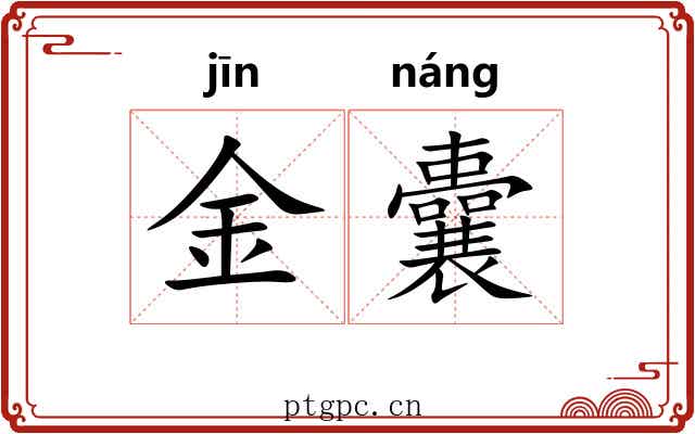 金囊 金囊