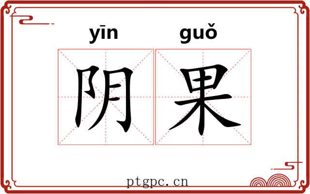 阴果 阴果
