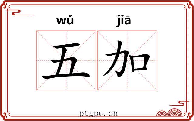五加 五加