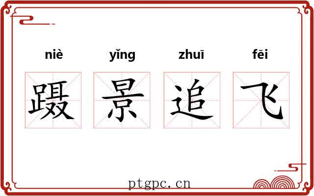 蹑景追飞