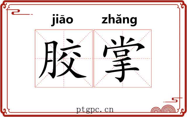 胶掌 胶掌