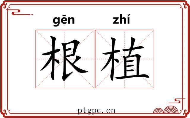 根植 根植
