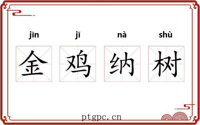 金鸡纳树 金鸡纳树