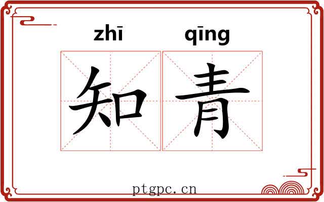 知青 知青