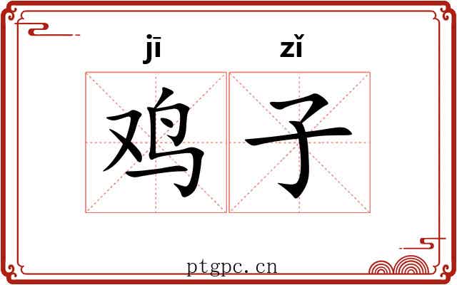 鸡子 鸡子