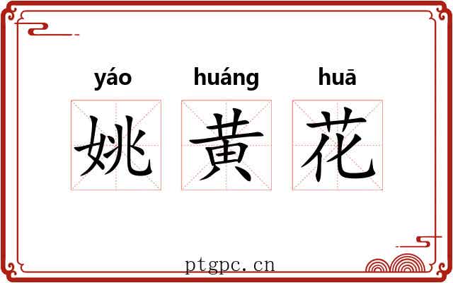姚黄花 姚黄花