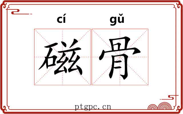 磁骨 磁骨