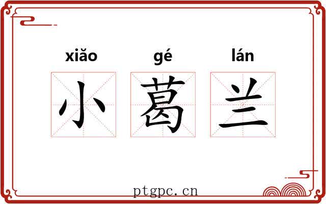 小葛兰