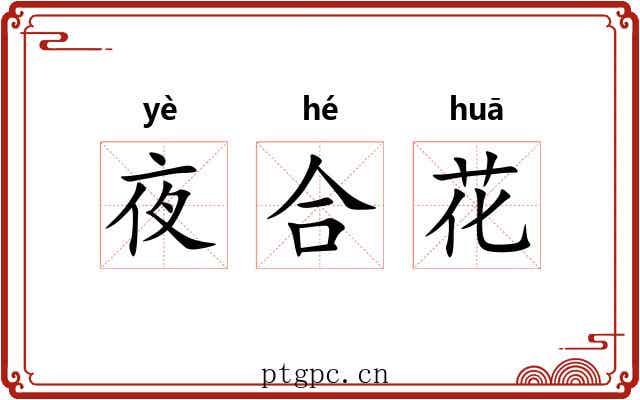 夜合花 夜合花