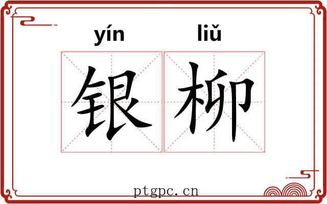 银柳 银柳