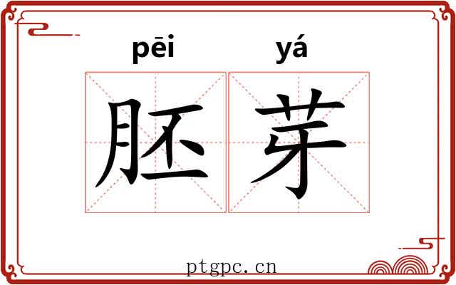 胚芽