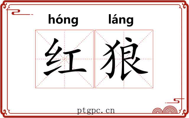 红狼 红狼