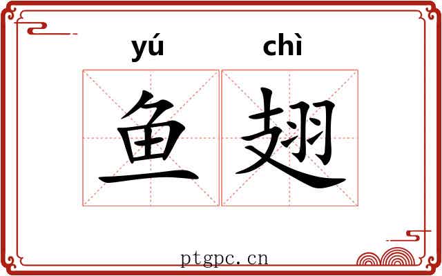 鱼翅