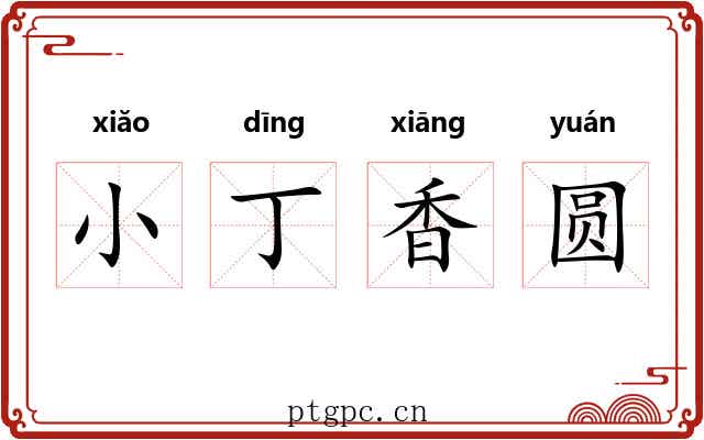小丁香圆
