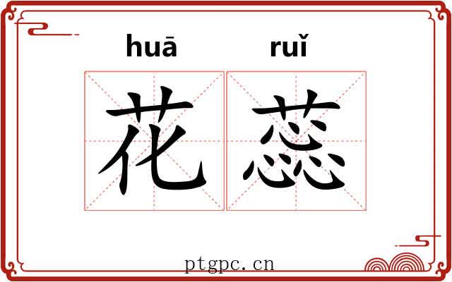 花蕊 花蕊