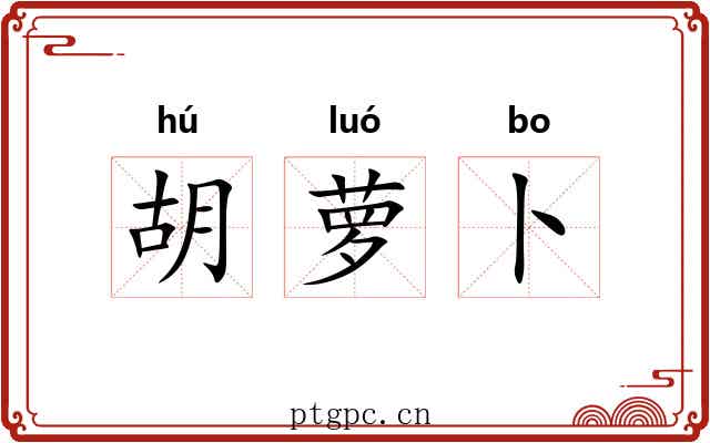 胡萝卜 胡萝卜