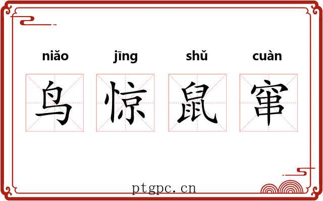 鸟惊鼠窜 鸟惊鼠窜