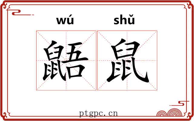 鼯鼠