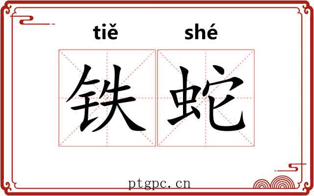 铁蛇 铁蛇
