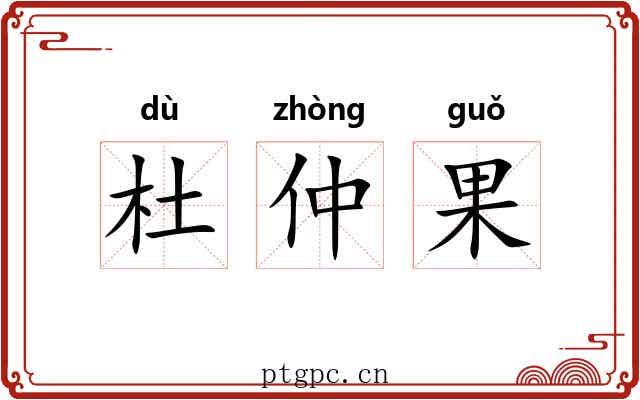杜仲果 杜仲果