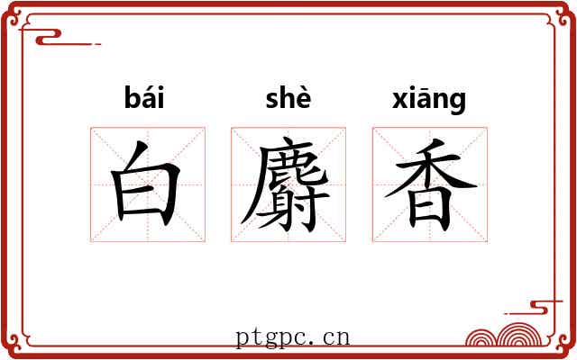 白麝香 白麝香