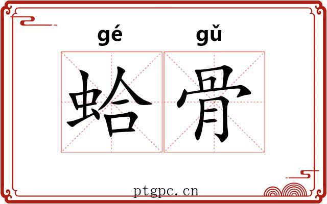 蛤骨