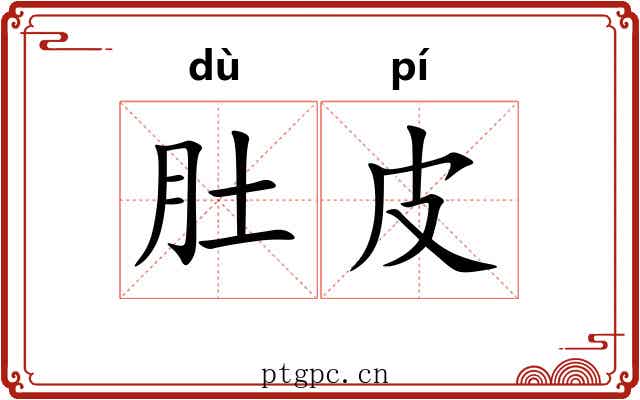肚皮