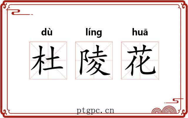 杜陵花 杜陵花