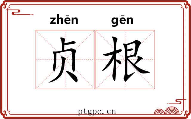 贞根 贞根