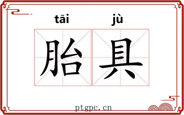 胎具