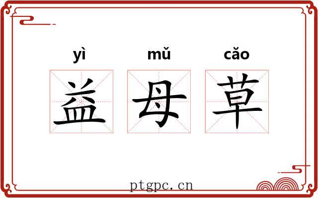益母草 益母草