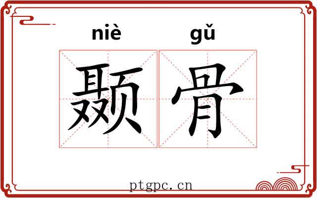颞骨