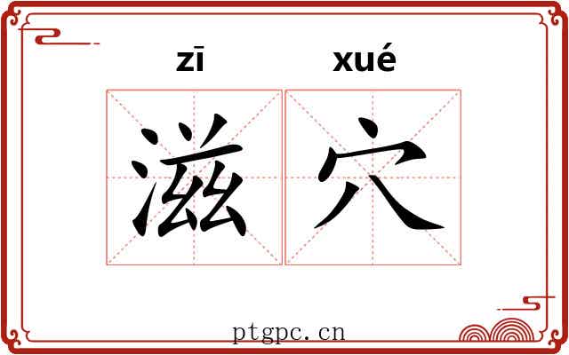 滋穴
