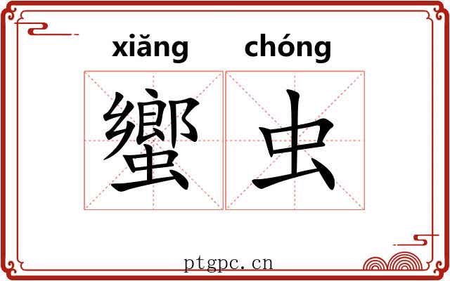 蠁虫