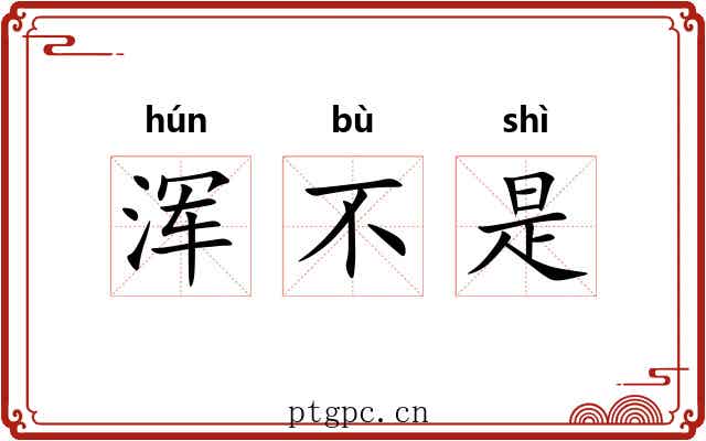 浑不是 浑不是