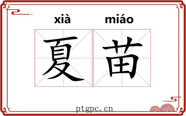 夏苗 夏苗