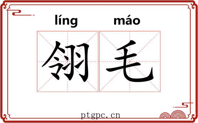 翎毛 翎毛