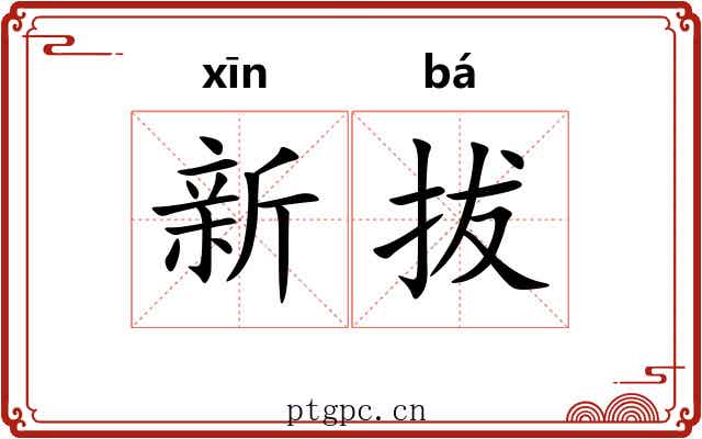 新拔