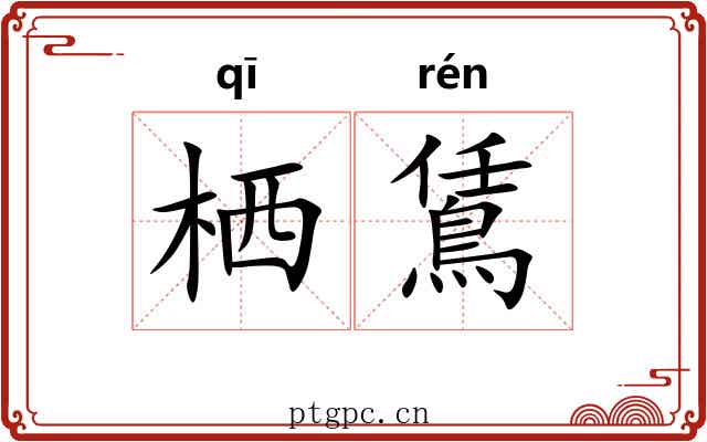 栖鵀