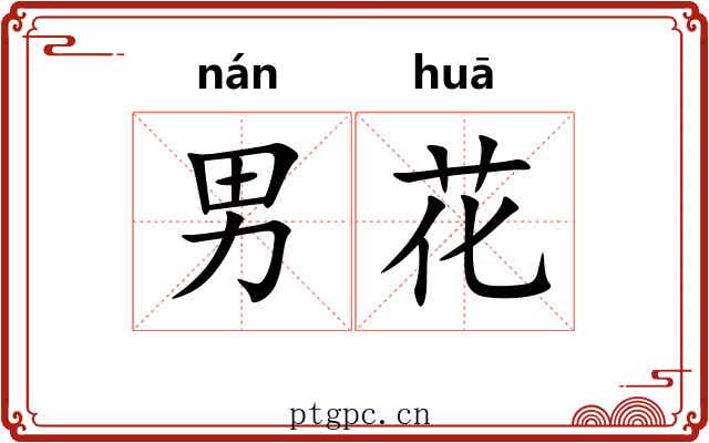 男花