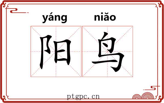 阳鸟 阳鸟